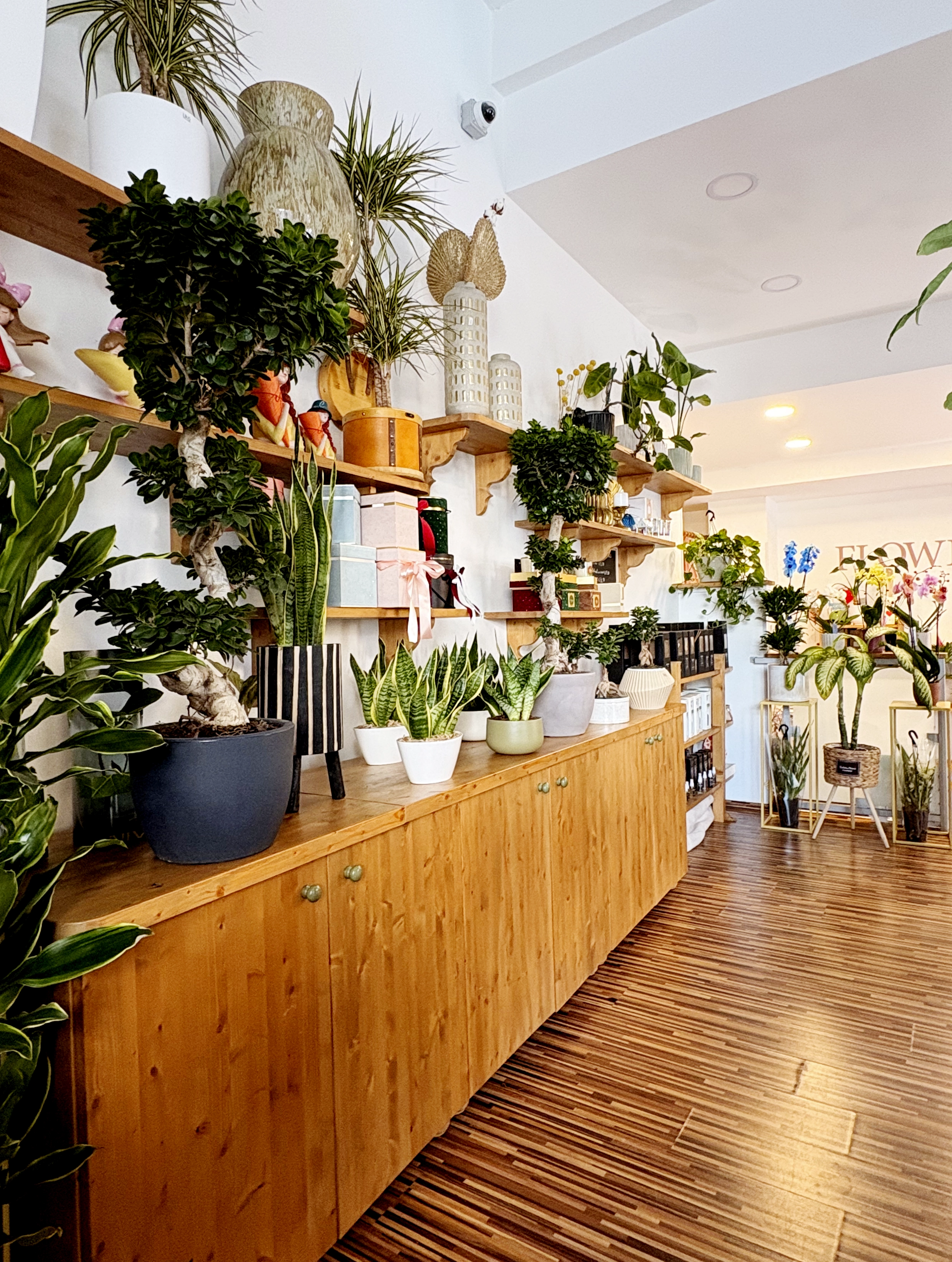 Il nostro Concept Store